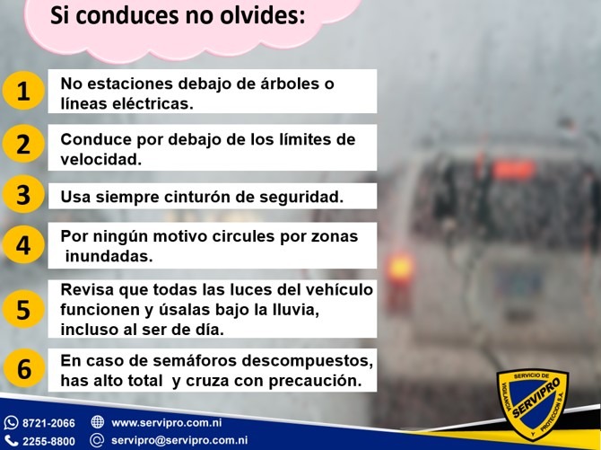 Sigue estos tips de seguridad al conducir.